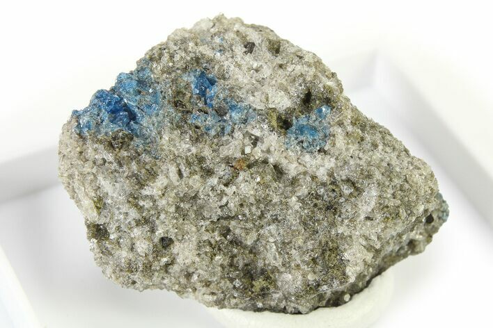 Vibrant Blue Hauyne with Sanidine and Augite - Germany #317194